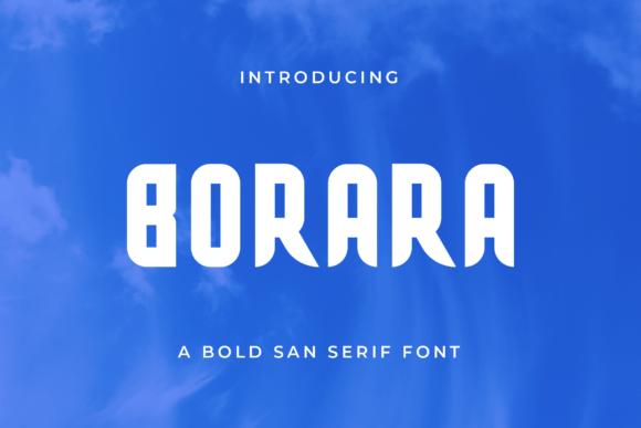 Borara: The Modern Sans Serif Font for Campaigns