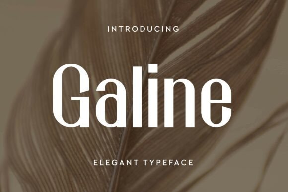 Galine: A Modern Sans Serif Font for Makers