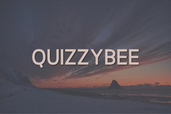 Quizzybee: A Bold Sans Serif Font for Modern Web Design