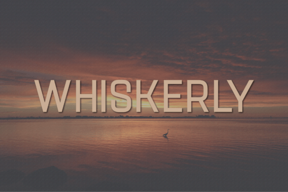 Whiskerly: A Modern Sans Serif Typeface for Makers