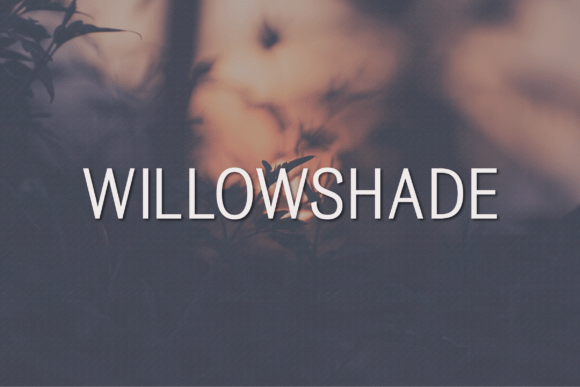 Willowshade: A Modern Sans Serif Typeface for Web Design